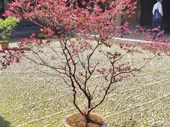 -前童古镇