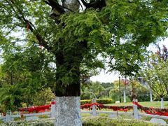 -董永七仙女文化园