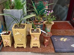 -Rabbit Cafe私房西餐甜点咖啡(栖霞路店)