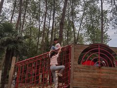 -合肥滨湖国家森林公园