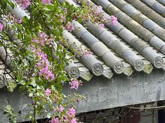 -龙潭水乡