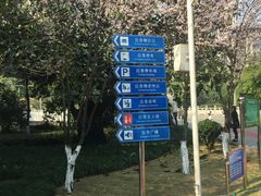 -龙头寺公园