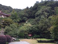 -十八棵（老龙井）御茶园(老龙井店)