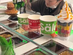 -Salud撒露欧洲冻酸奶(五道口购物中心店)