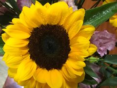 -四川大学(华西校区)