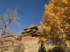 -东华门大街小区