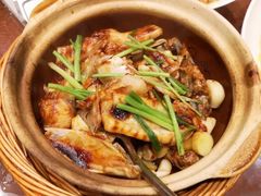啫啫鱼头煲-熠盛粤味·顺德桑拿鸡(永康路店)
