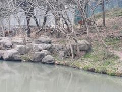 -宁波野生动物园