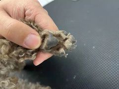 -comecome来吧宠物(奥克斯中心店)