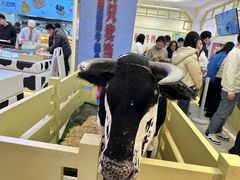 -红星前进面包牛奶公司(君太店)