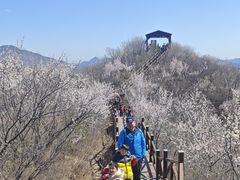 -大岭沟猕猴桃谷风景区