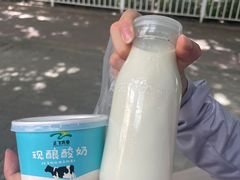 -正飞鲜奶(南湖一期店)