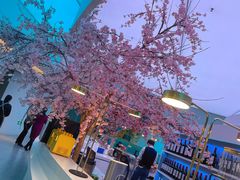 -花开餐厅(环湖中路店)