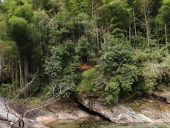 -黄山翡翠谷景区
