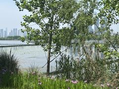 -东湖落雁景区