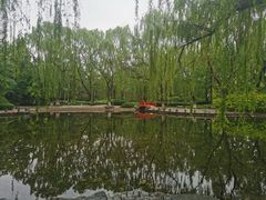 -玲珑塔公园