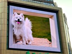 -Space君欧高空江景酒店(重庆解放碑云端之眼店)