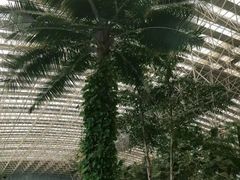 -龙脉温泉室内游泳馆