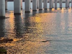 -星海湾跨海大桥