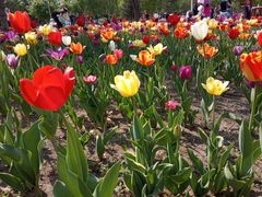 -长春公园(普阳街道)