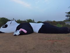 -苏州太湖国家湿地公园