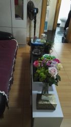 -本真坊美容美体沙龙