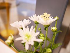 -法桐蛋糕·手作面包(万象城店)