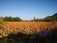 -云龙湖旅游景区