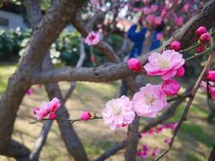 -无锡梅园公园