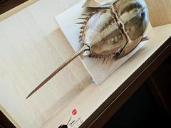 -中国湿地博物馆