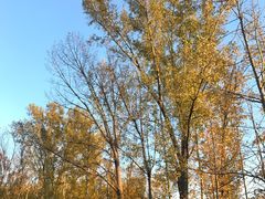 -中家鑫园温泉酒店鑫悦汤泉