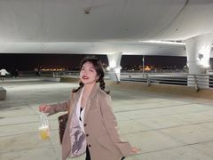 -演武大桥观景平台