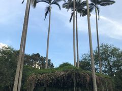 -广州市白云山风景名胜区