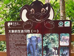 -野象谷景区