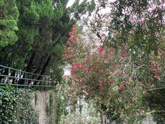 -上海市龙华烈士陵园