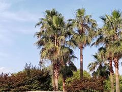 -东湖生态旅游风景区