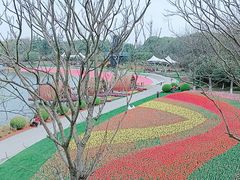 -上海鲜花港