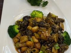 -新疆巴州金丝特餐厅(大钟寺店)