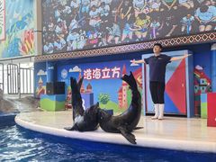 -成都浩海立方海洋公园