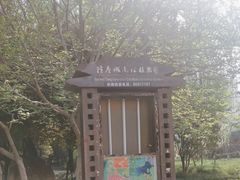 -洛阳市隋唐城遗址植物园