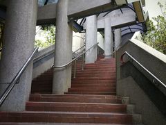 -香港大学
