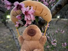 -白塘生态植物园