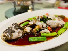 鲜花椒蒸笋壳鱼-侨美食家·粤菜(体育西路店)