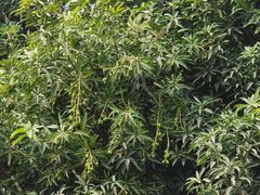 -深圳华盛奥特莱斯(华南一道店)