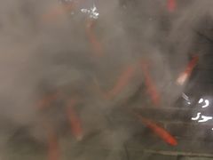 -卞氏菜根香(青羊万达店)