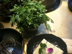 -手选潮汕鲜活牛肉火锅(二七广场店)