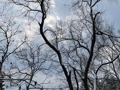 -大蜀山国家森林公园