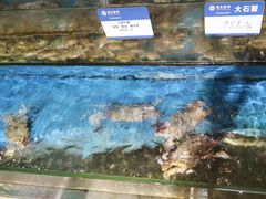 -鹰龙海畔度假酒店(咸祥店)