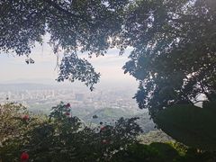 -广州市白云山风景名胜区