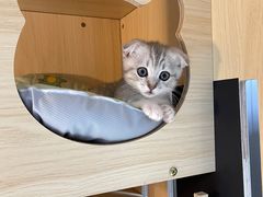 -贝康宠物医院·犬猫全科·小动物特色诊疗中心(东环路店)